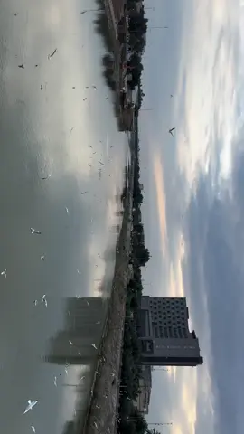 تظُن بأنك جزء من اللوحه  بينما أنت خارج الإطار#ميسان_العماره 