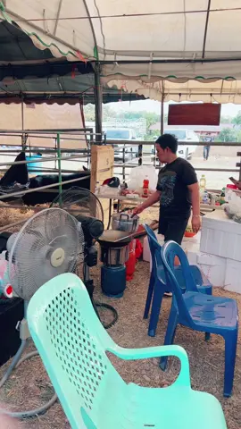 บรรยากาศสนามบัวประกวดจังหวัดเพชรบูรณ์#อย่าปิดกั้นการมองเห็น