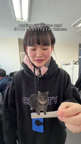 OIIAOIIA 🔊 #spinningcat #511212511121 #chinesememe #interns