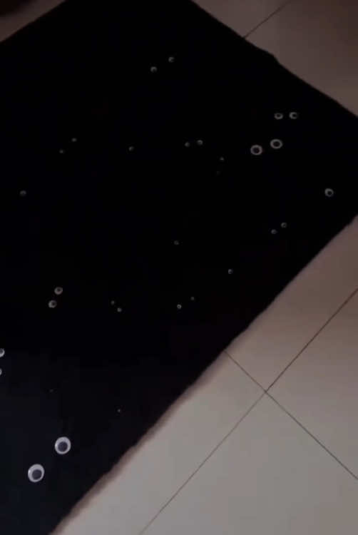 Black cat hidden in the dark#cat #tiktok #Funny #funnyvideos #catsoftiktok #funnytiktok #Foryou 