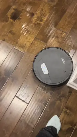 3-in-1 robot vacuum help me so much,best vacuumcleaner #robotvacuum #sweeper #vacuum #vacuumcleaner