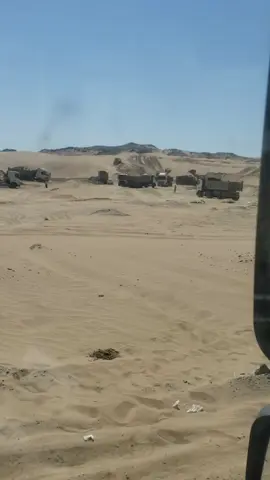 #تبوك_الورد_تبوك_تيماء_ضباء_حقل  #مالي_خلق_احط_هاشتاق  #زحف_تريلات 