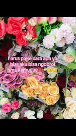 🙇🏼‍♀️🙇🏼‍♀️ #fyp #crush #ngodecrush #moots? #katakata #nerimalb #foryou 