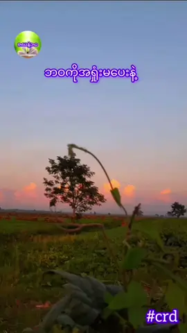 ဘဝကိုအရှုံးမ​ပေးနဲ့ #စာသားcrd #စာတို☯ #စာပေချစ်သူ #ခွန်အားရှိသောစာတ်ိုများ💙 #knowledge #လူငယ်များဆီသို့ 