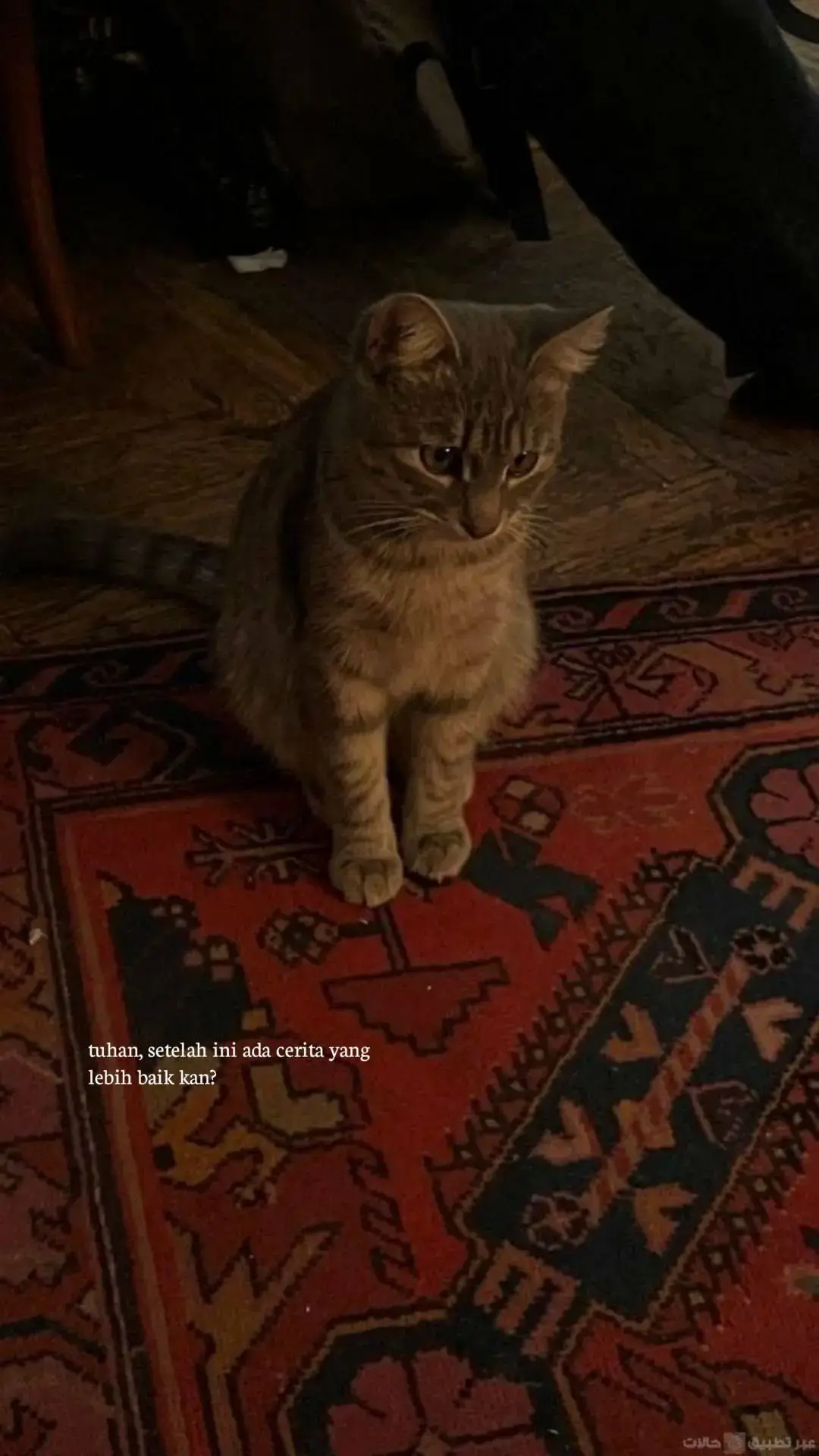 #beranda #xyzcba #sptrrfd 