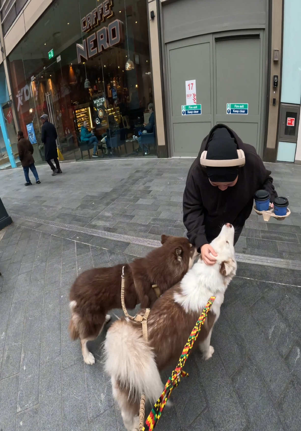 Interactions with my dogs!! #husky #dogs #viral #doglover #husky #fyp #london #foryou 