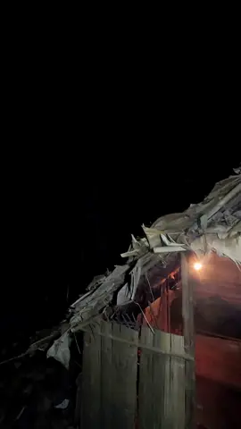 นอนป่ากัน