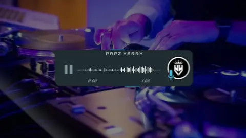 #fyp #papzyerry #aveeplayer #musicdiscotanahremix .