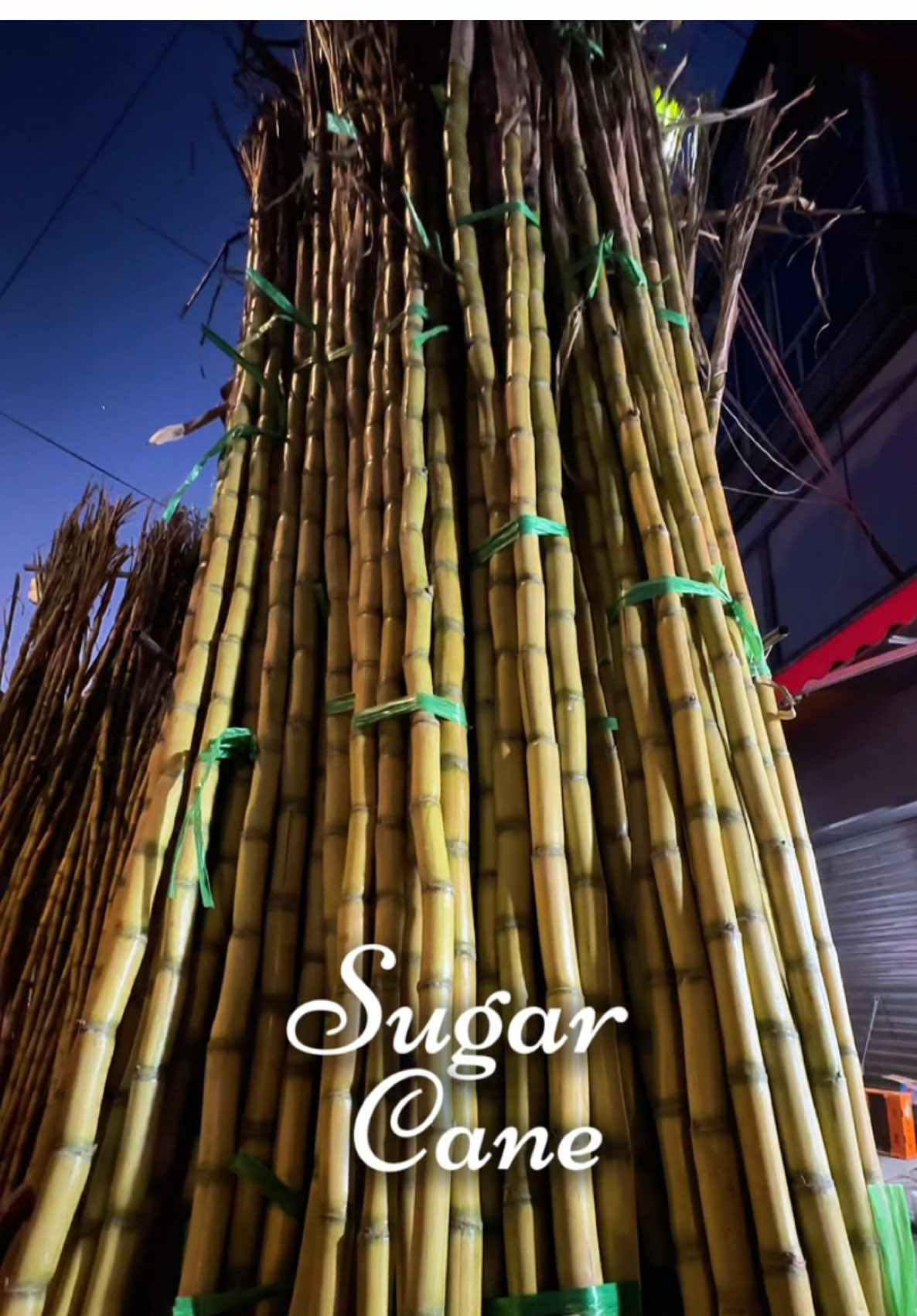 Do you guys eat sugar cane like this? 😍 #sugarcane #sugarcanejuice #howtotiktok #chinesesnack #snack #china #chinesefood #culture #sugar #cane #fyp #fypp #chinatiktok 