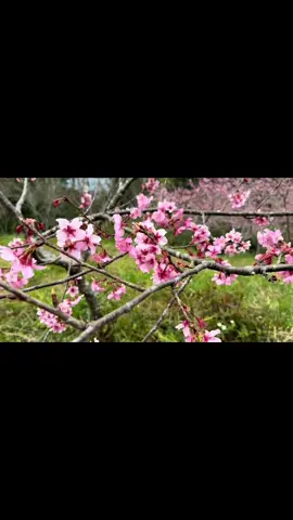 Đi đường lớn đừng đi đường nhỏ.!😊