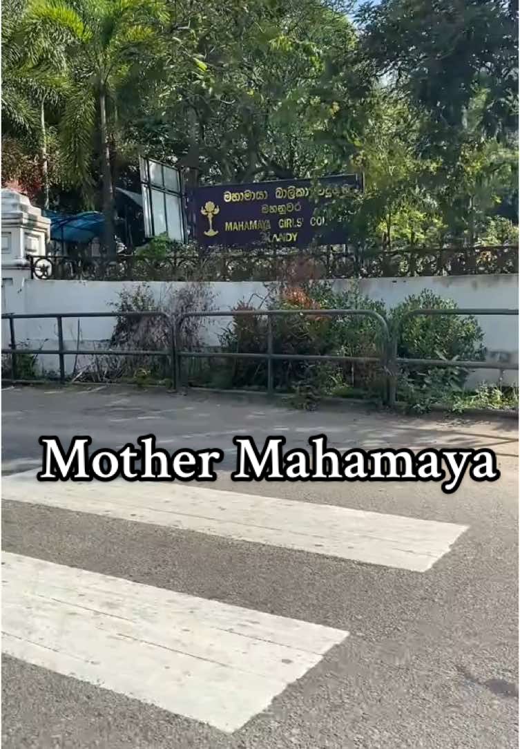 Mother MAHAMAYA 🥰
