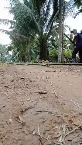 2025 #fyp #fypviral #fypviraltiktok🖤シ゚☆♡ #xybca #masukberanda #fyppppppppppppppppppppppp #fypp #ramadhan #azzahirpekalongan #zahirmania #zahirmaniaindonesia🇲🇨 