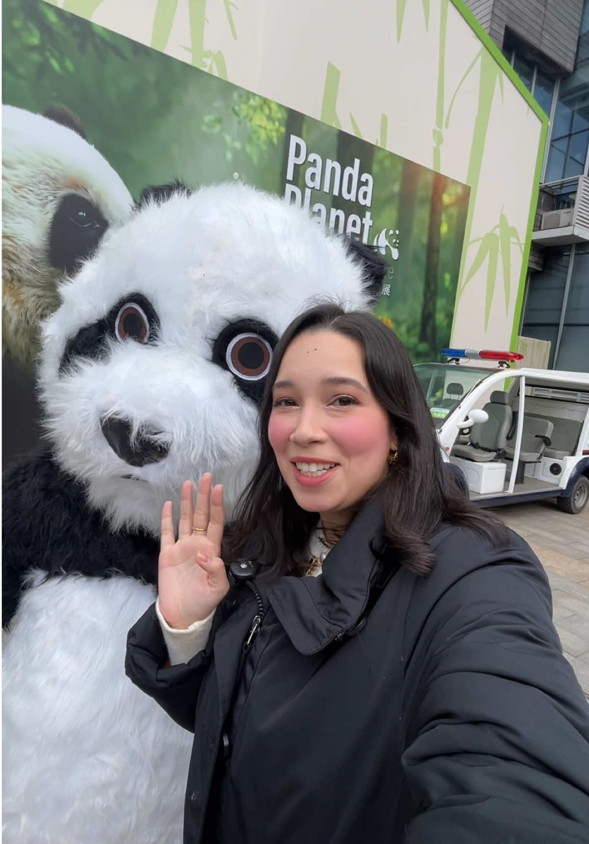 O cocô do panda parece um ovo de páscoa de pistache 🫶🏻 📍Chengdu Research Base of Giant Panda - Chengdu - China. Assim como este, na China tem alguns institutos que cuidam da espécie dos Pandas, e foi assim que eles conseguiram salvar os Pandas da extinção. Foi o dia mais feliz da minha vida!! O tanto que é incrível ver um animal que eu só via pela televisão😭😭❤️❤️