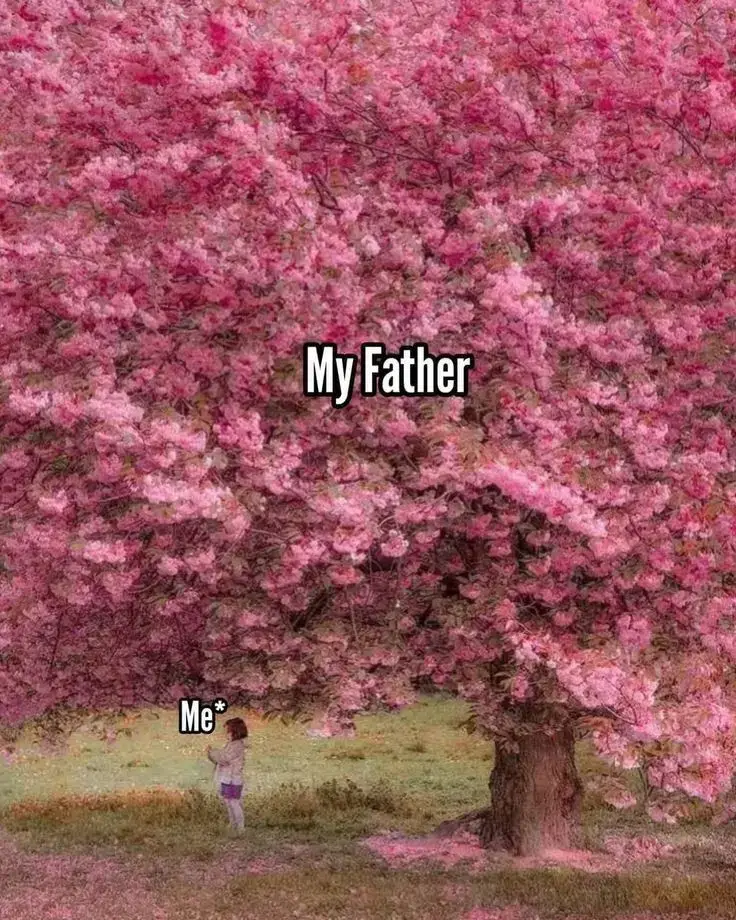 #dad#mockingbird #myfather #lyrics_songs #songs 