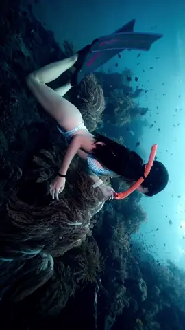 7201890628597337356-#自由潜水 #水下摄影 #巴厘岛  从光里来 到光里去🐋