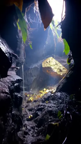 Gold Discovered in a Cave in California's Sierra Nevada Mountains! #gold#mine#expedition #cave #usa🇺🇸 #bullion #money  #mystery #creature#beast #scary #creepy #spider #horror#fear #niahtmare #monster #spooky #dark#aireels #aishorts #aicontent