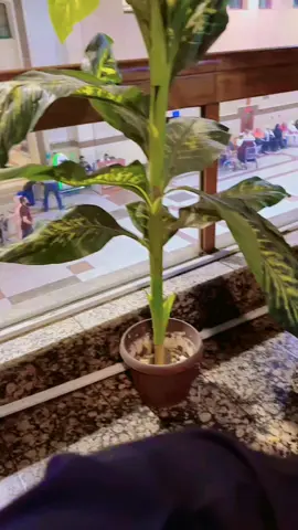 #whatsappstatus #✌️✌️ 