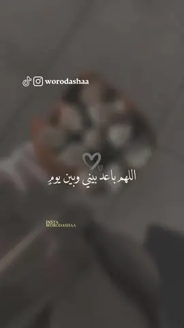 اللهم امين يارب 🤲🌸