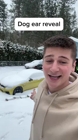 He’s the cutest but I think 1 is enough 