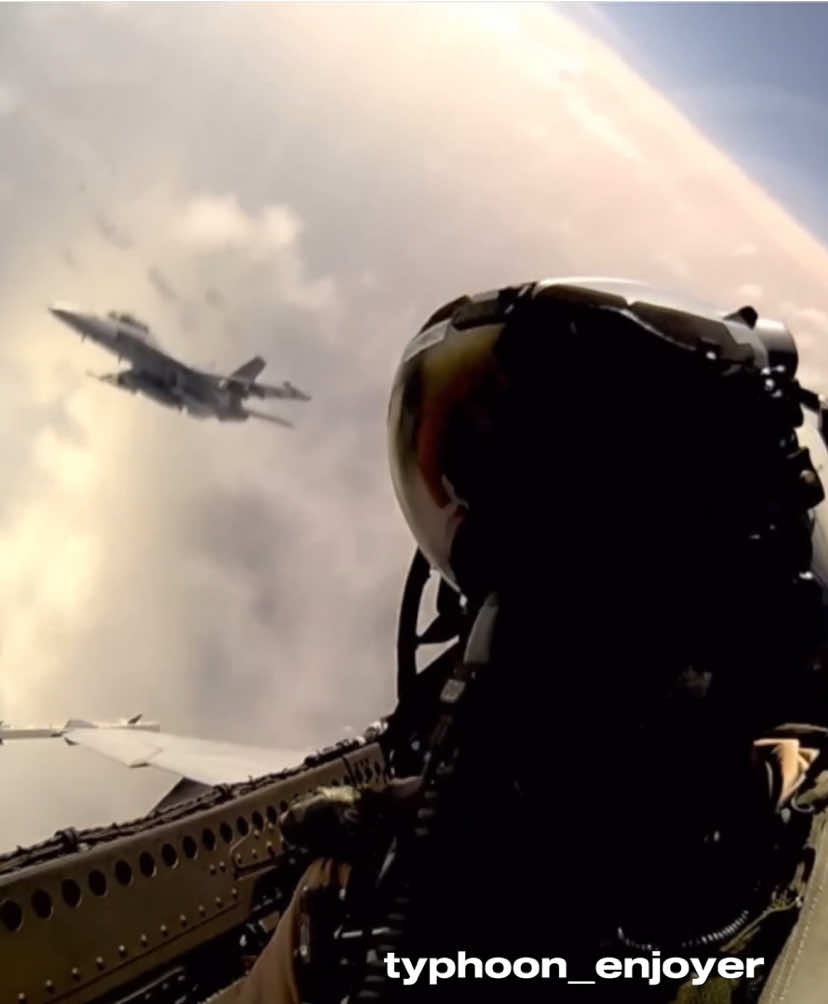 Inside F-18 Cockpit edit | #military #army #militarytiktok #militaryedit #edit #capcut_edit #jetfighter #airforce #f18 #f #18 #usarmy #usairforce #us #foryoupage #foryou #fyp 