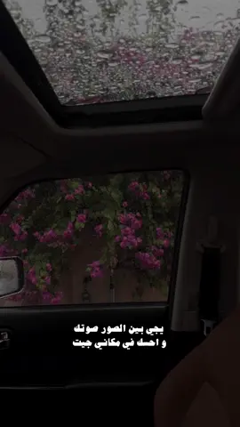 #نغمة_وتر_عمر #نغمة_وتر #عمر_العمر #foryou #explore #fypシ #طرب #ترند #اكسبلور #نغمة_وتر_عمر_العمر #عود #اكسبلورexplore  #يجي_بين_الصور_صوتك #طموحي_زي_خيباتي #دويتو #ريانه  @عمر العمر | نغمة وتر 
