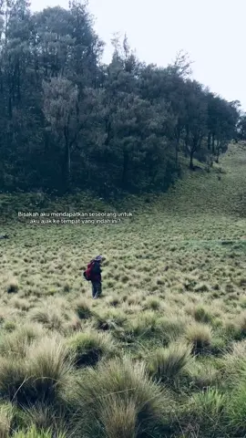 Bagaimana kalau kamu?#fypp #foryou #pendakigunung #lawumountain #f 