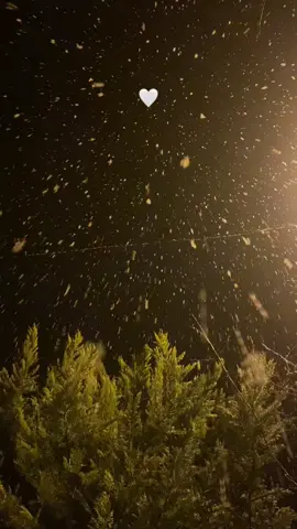 🤍  #keşfetteyizzz #keşfetbeniöneçıkar #fypp #kar 