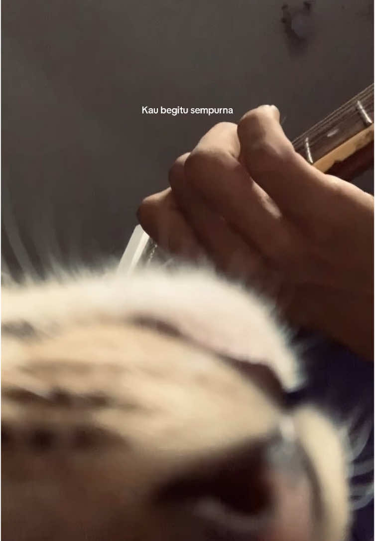 #sempurna #akudanmeng