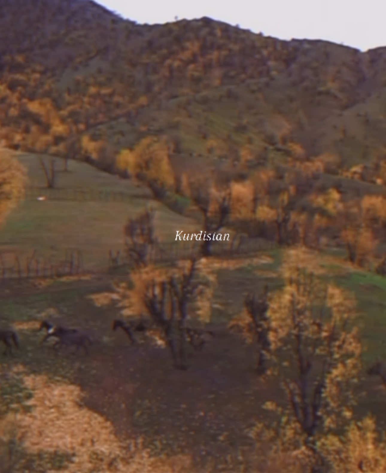 My kurdistan 🤍  #kurdistan #kurdish #fyp #culture #nostalgia #safe #traditional #History #tiktok 