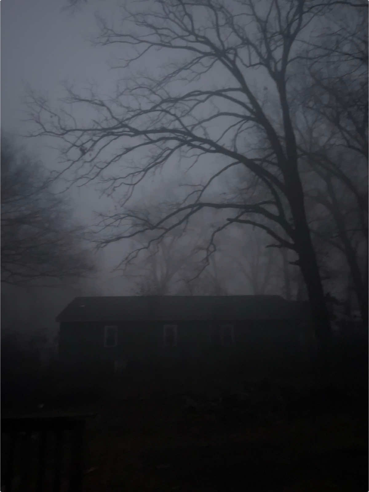 #cinematography #cinema #foryou #silenthill #gloomy #fyp #eerie #winter #trees #darknatrualism #foggy 