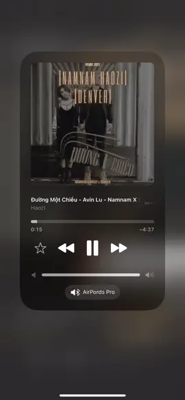 Đường Một Chiều - Avin Lu - Namnam x Haozi x Denver Remix