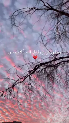 2017.2.8💔 تمنيت امي حباً يدوم طويلاً فدام الحُب ورحلت امي 💔😭 ذكرى وفاة ماما الله يرحمك ويغفرلك 😭😭😭💔. #جامعه_بنغازي_كليه_الاقتصاد🤞 #جامعه_قاريونس #جامعة_قاريونس_كلية_الاقتصاد #اكسبلورexplore #ليبيا🇱🇾 #شعب_الصيني_ماله_حل😂😂😂 #اجدابيا_بنغازي_البيضاء_طبرق_ليبيا🇱🇾🔥 #اجدابيا_بنغازي_البيضاء_طبرق_ليبيا🔥❤️سلوق #بنغازي_ليبيا🇱🇾 