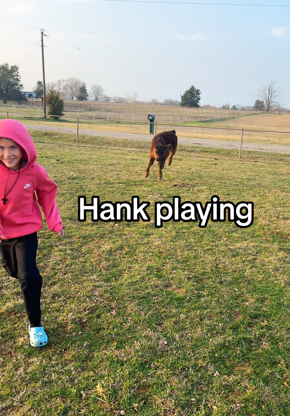 Hank has been playing with my boys all evening! 🖤🐮 #calf #calves #bottlefedcalf #cows #farmlife #countrykids #bullcalf #countrylife #hank #cattle #fy #foryoupage #foryourpage #countryboy #farmanimals #pasturepets 