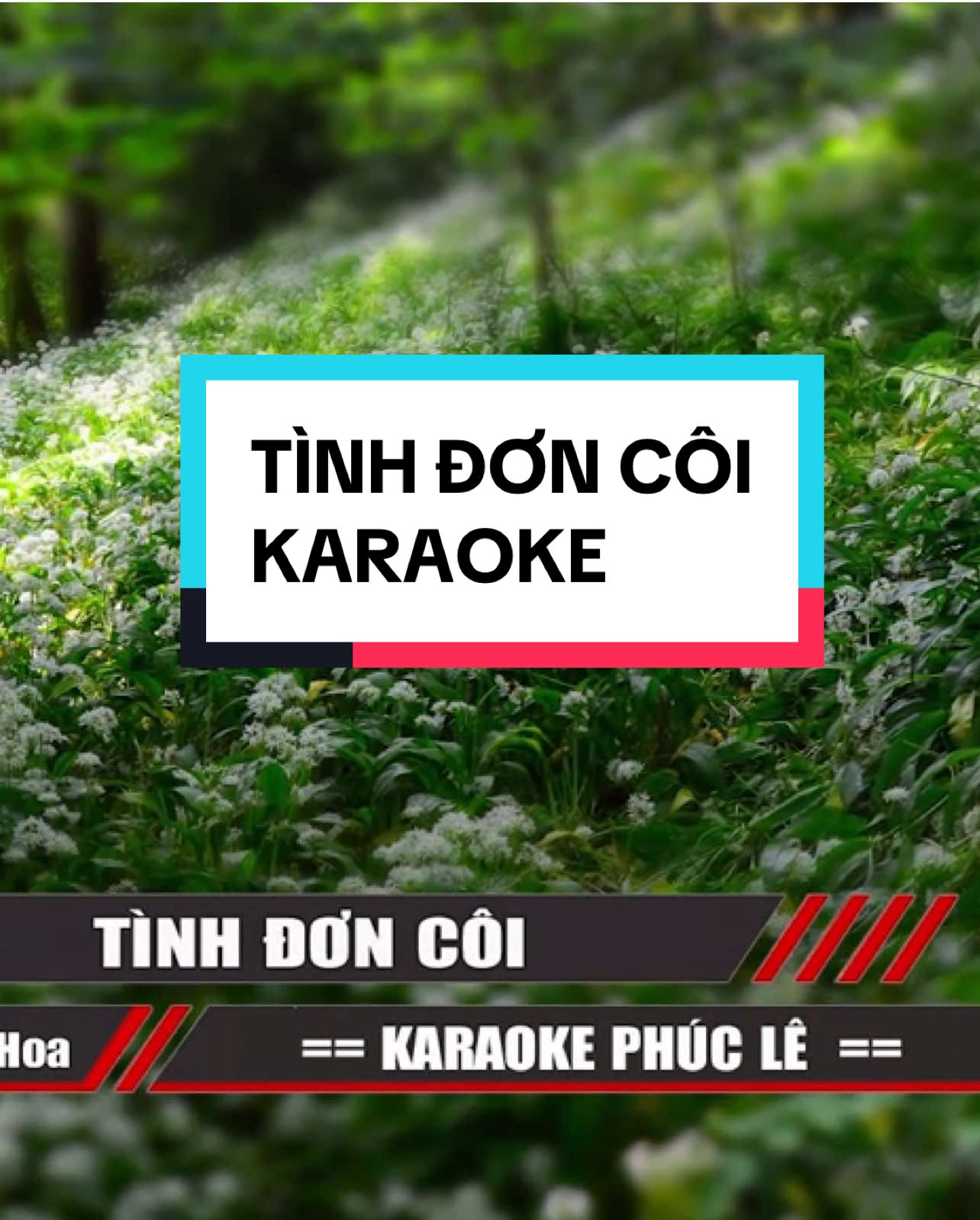 Karaoke Tình Đơn Côi Tone Nam #tinhdoncoi #tinhdoncoikaraoke #karaoketinhdoncoi #phucle1605 #neubat #foryou