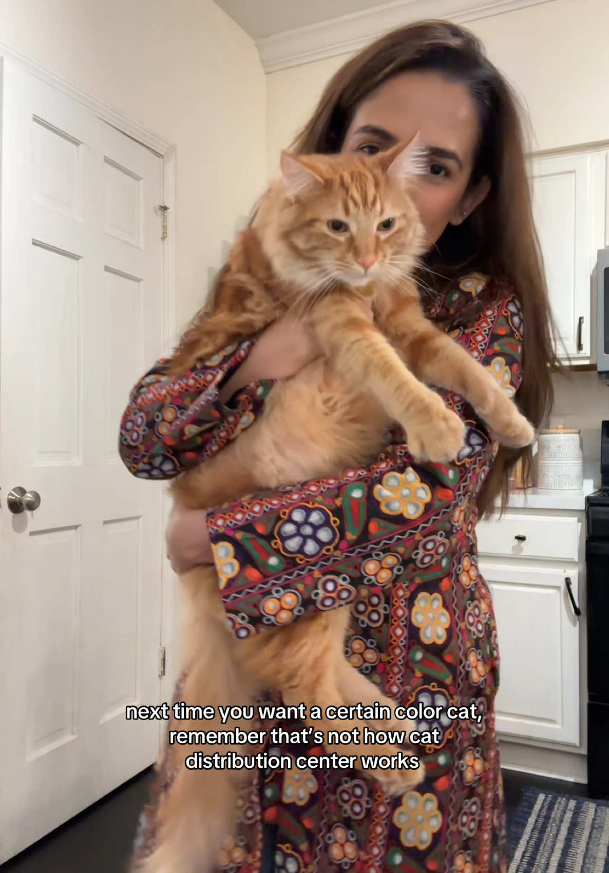 where is my black cat 🐈‍⬛ 