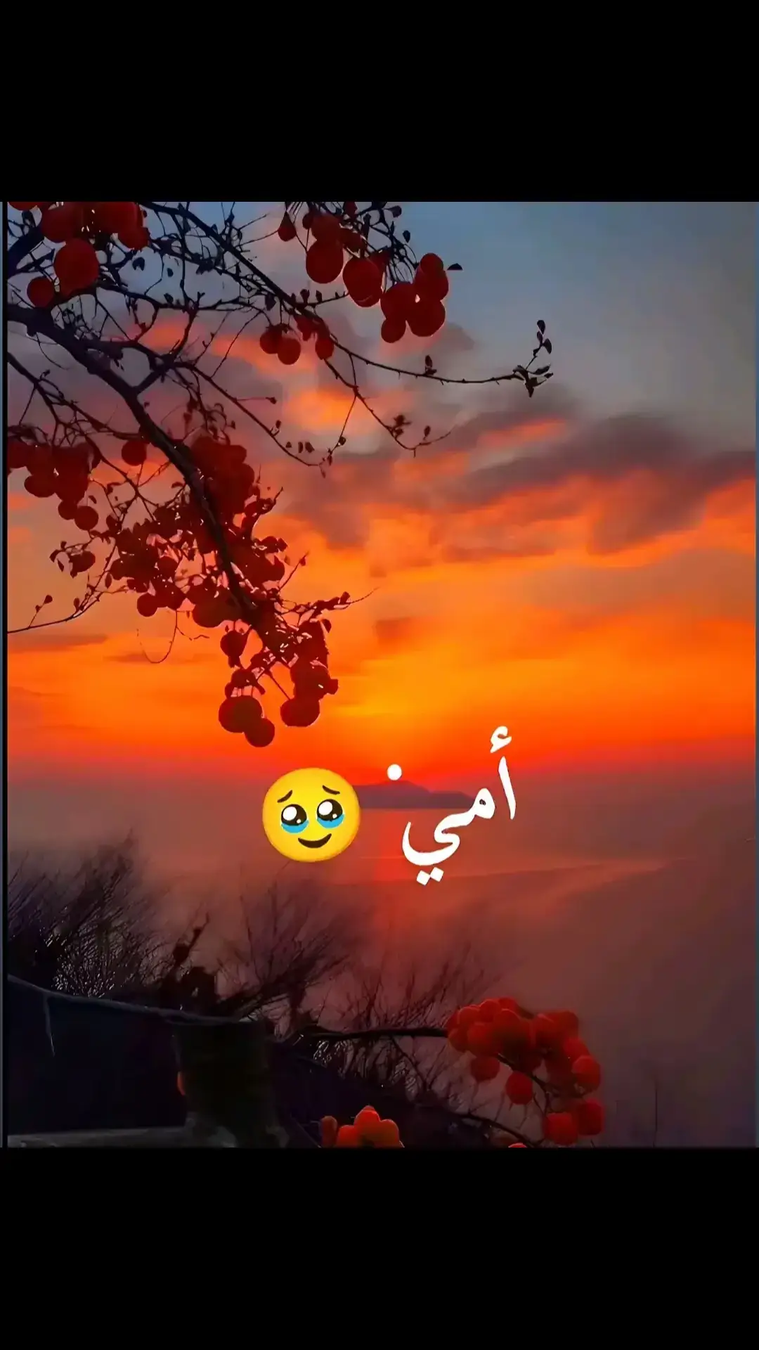 #😭😭😭😭😭😭💔💔💔💔  #ياااااااااااااااااااااااااااااااارب🤲🤲🤲  #وحشتيني_يااغااليه🏍️🤍🥺 #رحمگ_الله_يا_كسر_قلبى_يا_أمى💔🥀😣😭🥺  #انا_تعبان_من_غيرك_😥🥺  #😭👑أمى👑ياقرة😔عينى🥹وحشتينى👋😭💔💔💔 