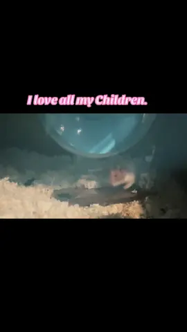 #hamster