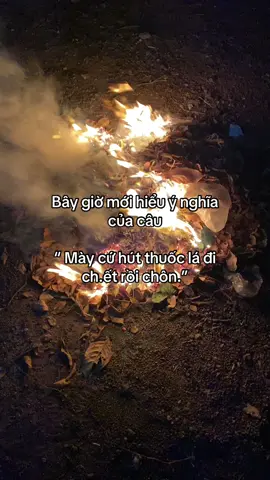 Bây giờ mới hiểu#xhuonggggggghh #xuhuongtiktok #khongflop #xuhuong #HaVy 