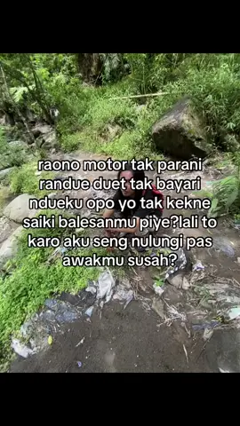 #fyp 