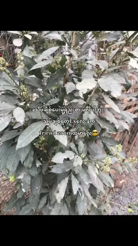 #ဟား”ပျော်တာ🤪##thinkb4youdo #moots? @TikTok 