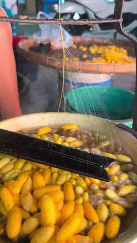 เส้นไหมสวยๆ #เลี้ยงหนอนไหมbyเอม #ผ้าไหมทอมือแม่สมหวัง #ผ้าไหมสุรินทร์ #หนอนไหม #ผ้าไหม #เส้นไหม 