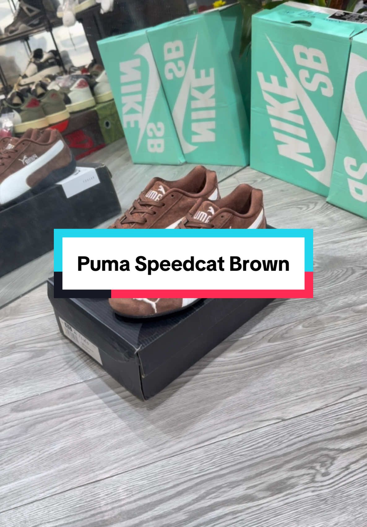 Puma Speedcat nâu #bobsneaker #reviewgiay #xuhuong #fypシ゚viral #pumaspeedcat 
