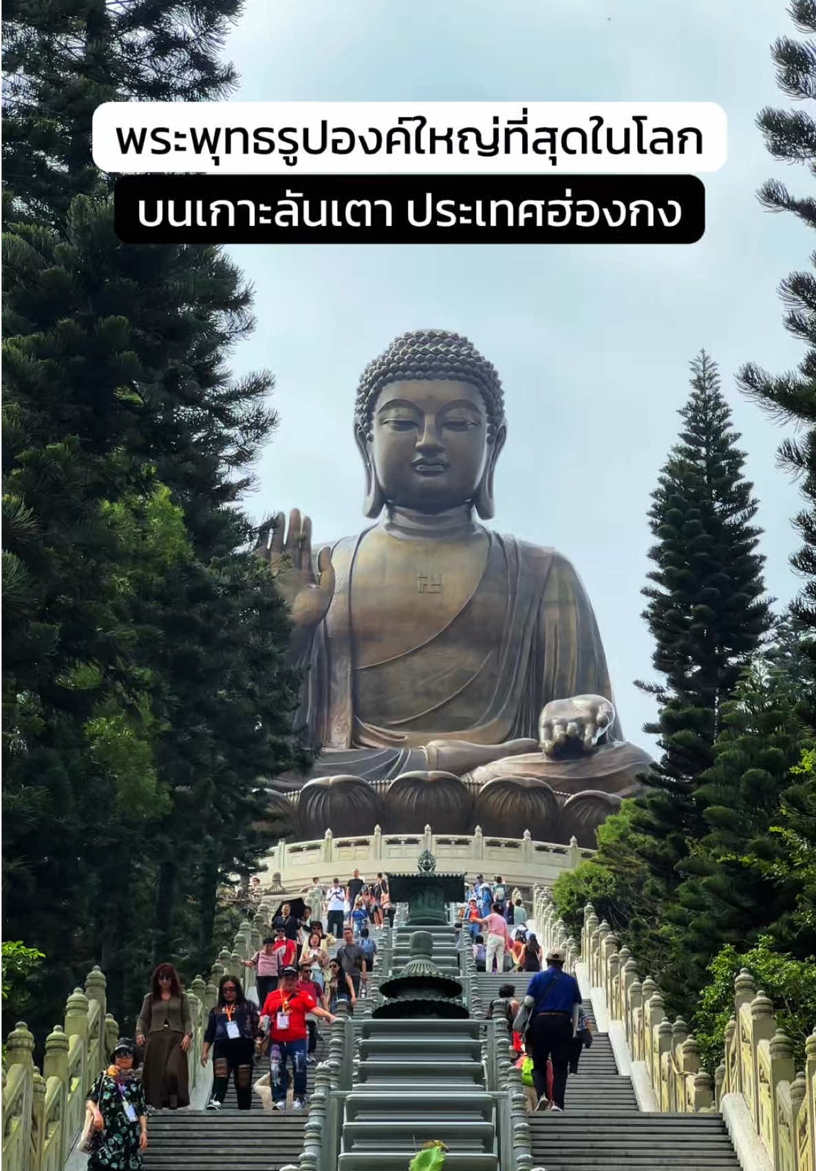🇭🇰 วัดพระใหญ่โป่หลิน เป็นวัดที่มีชื่อเสียงของเกาะลันเตา ประเทศฮ่องกง มีพระพุทธรูปเทียนถานที่ใหญ่ที่สุดในโลก #ฮ่องกง #hongkong #พระใหญ่เทียนถาน #พระใหญ่นองปิง #เที่ยวฮ่องกง #รีวิวฮ่องกง #นองปิง # 