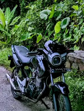 #tigersakiti  🥀🥀