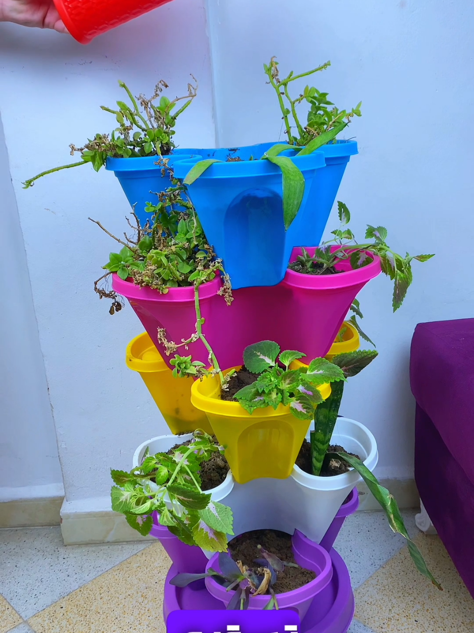 هل تبحث عن طريقة رائعة لعرض نباتاتك المفضلة؟ نقدم لك حوض الأزهار المبتكر من خمس طبقات! 🌱🌺 ✅ خمس طبقات: يتسع لثلاث نباتات في كل طبقة، مما يمنحك مساحة كبيرة لعرض تشكيلة متنوعة من الأزهار. ✅ عجلات متحركة: سهلة النقل، يمكنك تغيير موقع الحوض بسهولة للحصول على أفضل إضاءة وأجواء. ✅ تصريف مياه ممتاز: خاصية تصريف المياه المدمجة تضمن بقاء حوضك نظيفًا وخاليًا من الفوضى. اجعل حديقتك أو شرفتك تزهر بالألوان والجمال مع حوض الأزهار المبتكر! 🌷🌿