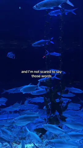 #fallinglikethestars #jamesarthur 