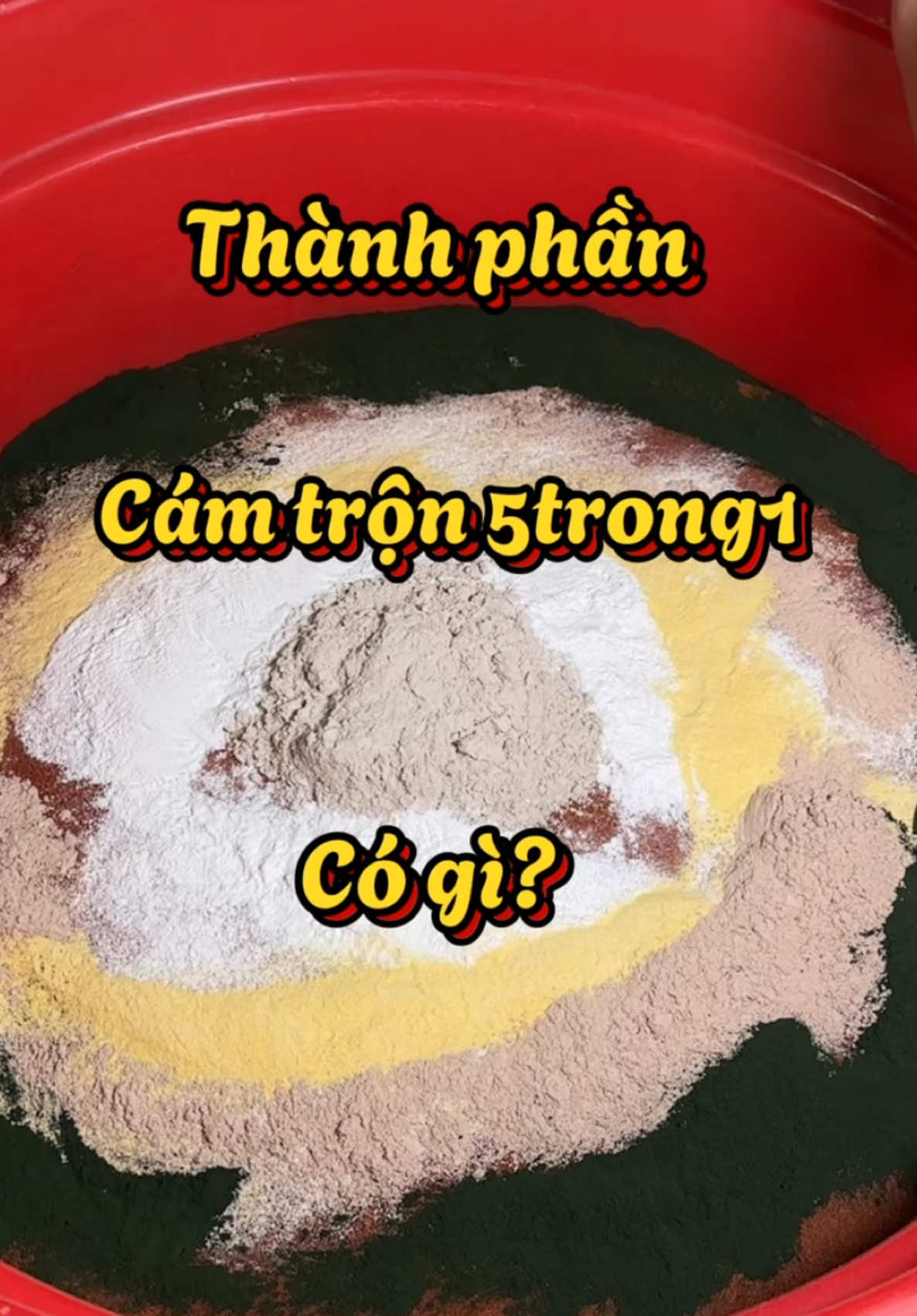 Ưu đãi đầu năm: cám trộn 5 trong 1 - loại cám chân ái đối với tép cảnh, cá bảy màu ,molly và các dòng cá miệng nhỏ tương tự#guppy #tepcanh #camtron5trong1 #cabaymau #fyp #xuhuong 