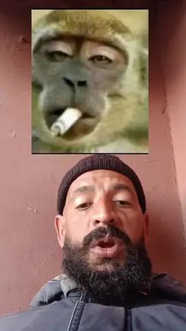 🙏🏼🔥❤️😂✅😂😂😂✅#marroc🇲🇦 #algeria🇩🇿 #tunisia🇹🇳 #africa #europa 