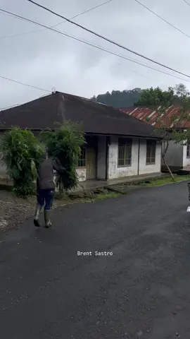 Si Abang jualan gula merah Lok. Dusun Candi, Yoserejo, Petungkriyono - Pekalongan #pedesaanjawatengah #fypシ #suasanadesa #pedesaanindonesia #yosorejo #petungkrionopekalongan 