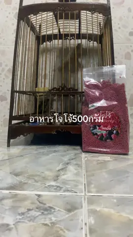 #นายหน้าtiktokshop #viraltiktok #ปรอดหน้านวล 